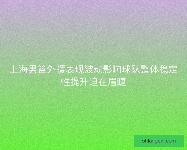 上海男篮外援表现波动影响球队整体稳定性提升迫在眉睫 上海男篮外援表现波动影响球队整体稳定性提升迫在眉睫